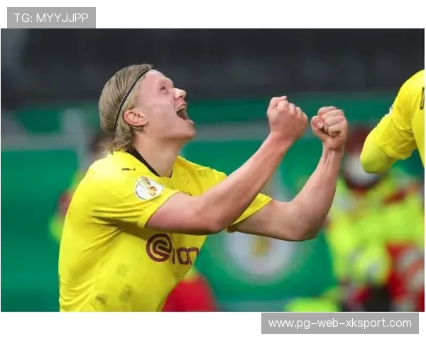 国家之星帕利尼亚：防守与进攻的完美结合，足坛新一代B2B中场的崛起